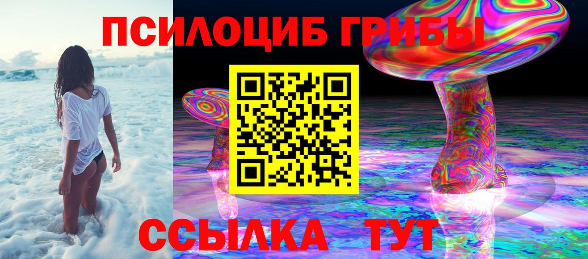 Псилоцибиновые грибы мицелий Нефтеюганск