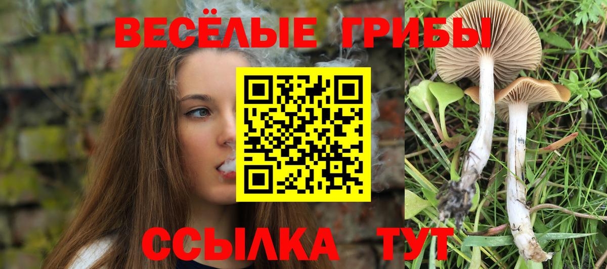 хочу наркоту  Вход с VPN  Псилоцибиновые грибы Cubensis  Нефтеюганск  Псилоцибиновые грибы Cubensis 